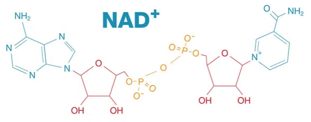 스크린샷 2025-12-23 112645.png