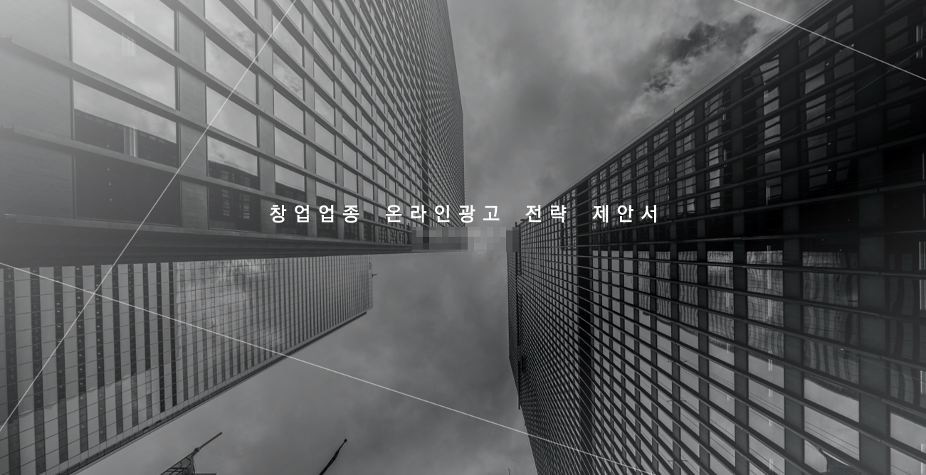 창업업종 온라인광고전략 제안서