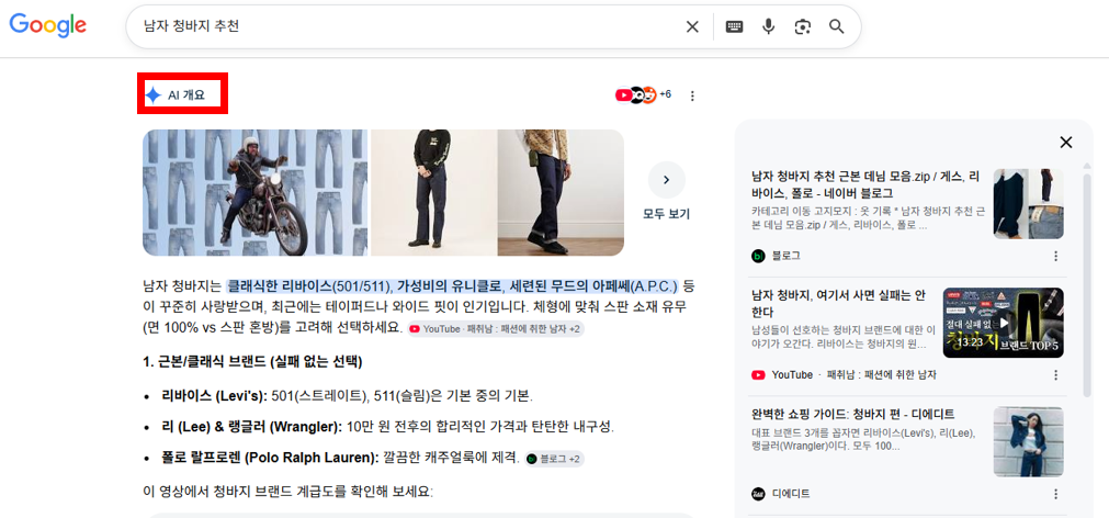 Google AIO Interface