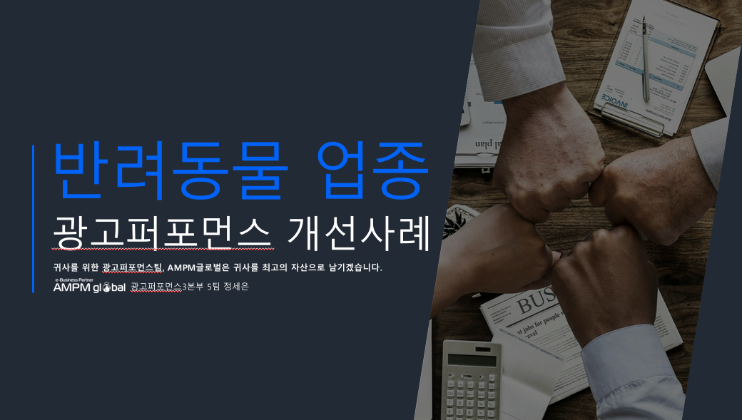 반려동물 업종 광고 퍼포먼스 개선사례