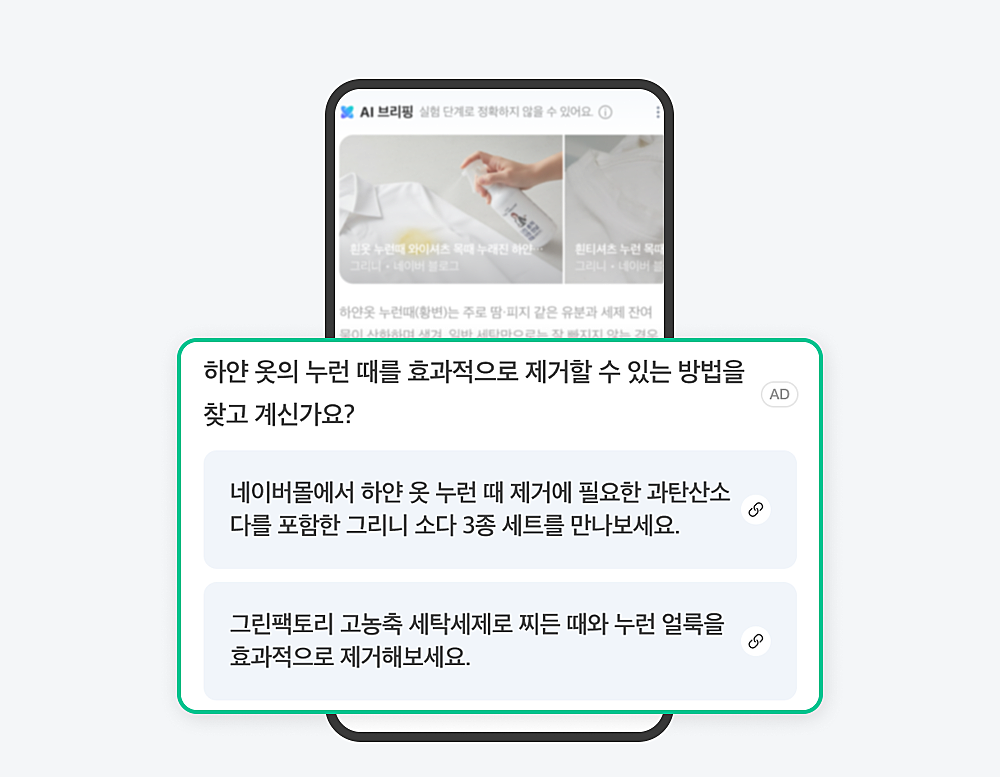 AI 브리핑 광고 도입